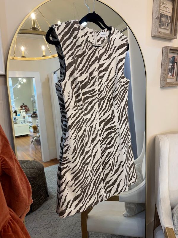 Printed Mini Dress