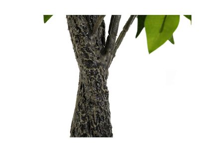 Planta PVC PP 60X70X120 FICUS BENJAMIN VERDE