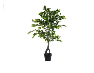 Planta PVC PP 60X70X120 FICUS BENJAMIN VERDE