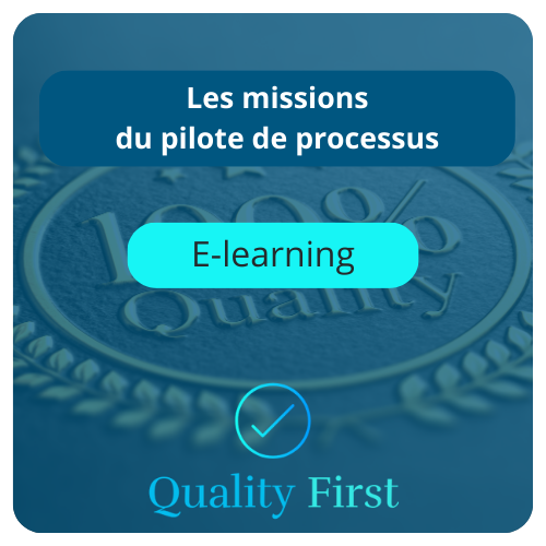 Les missions du pilote de processus: E-learning