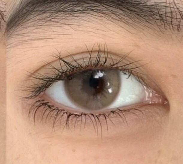 Ochre Brown