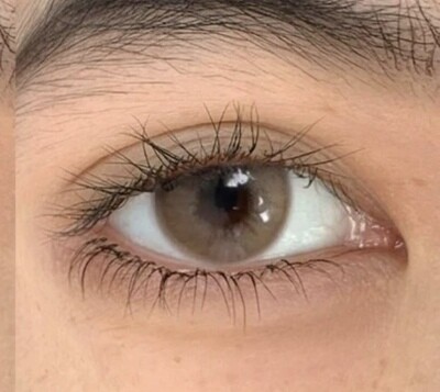 Ochre Brown