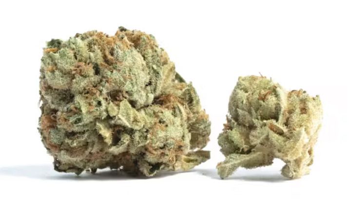 Cherry AK-47 1/4 Oz. (Green Mesa Cultivation Telluride, CO) 24%