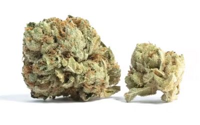 Cherry AK-47 1/2 Oz. (Green Mesa Cultivation Telluride, CO) 24%