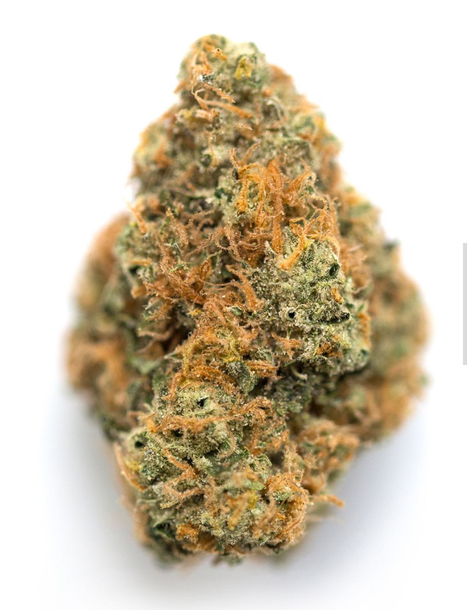 Lemon Haze 1/4 Oz. (Ganja Point Farm Evergreen, CO) 24%