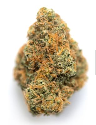 Lemon Haze 1/2 Oz. (Ganja Point Farm Evergreen, CO) 24%