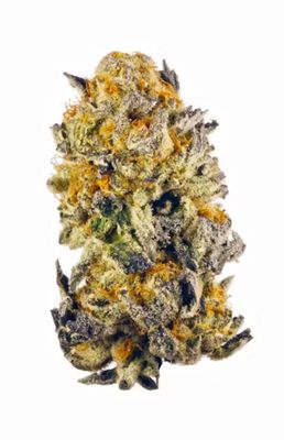 Banana Punch 1/2 Oz (DZ Farms Western CO) 25%