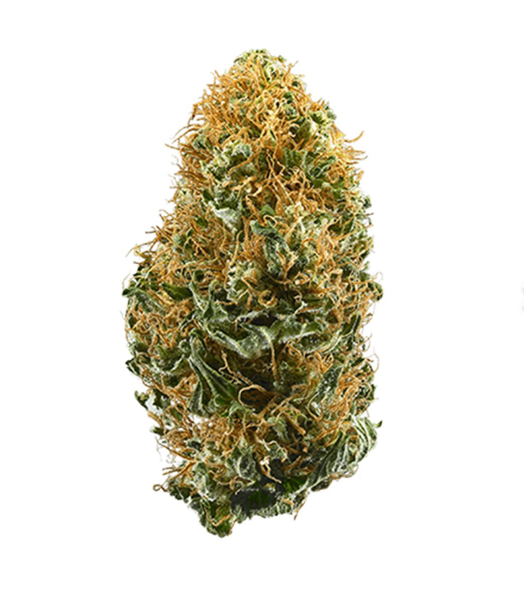 White Widow 1 Oz. (DZ Farms, Western Colorado) 26%