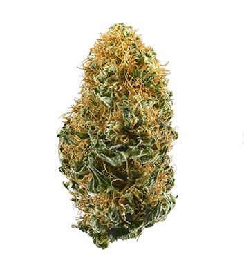 White Widow 1 Oz. (DZ Farms, Western Colorado) 26%