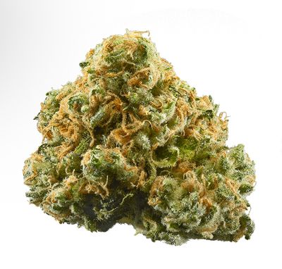 Pineapple Express 1/2 Oz. (Green Mesa Cultivation Telluride, CO) 27%