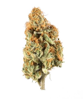 Jellie Cake Smalls 1/4 Oz Indoor (Mendocino, Ca)