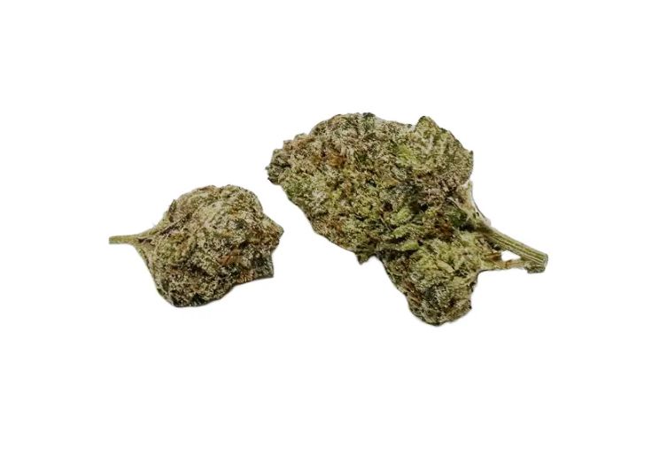 Girl Scout Cookies Indoor Green Triangle Farms Chico, CA 24% 1 /4 Oz