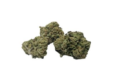 Tropical Cooler 1/4 Oz (Two Hippies Growery Glenwood Springs, CO) 26%