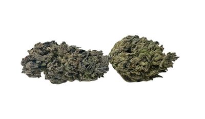 Grand Daddy Purps 1/4 Oz (Two Hippies Growery Glenwood Springs, CO) 28%