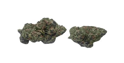 Purple Zikigai (Top Shelf Indoor) 1/4 Oz (Green Triangle Farms Chico, CA) 32%