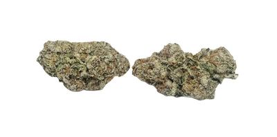 Jack Herer Indoor (Top Shelf Indoor) 1/4 Oz (Green Triangle Farms Chico, CA) 30%