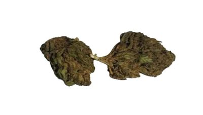 Ghost OG (Zen Mountain Growery Denver, CO) 1 Oz 25%