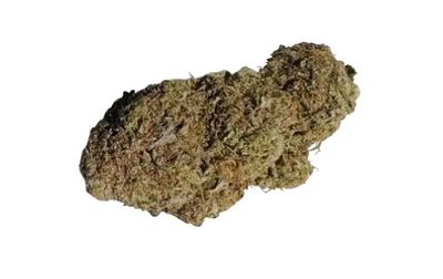 Grand Daddy Purps (Top Shelf Indoor) (Green Triangle Farms Chico, CA) 1/2 Oz 31%