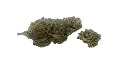 Tropicana Banana 1 Oz. (DZ Farms, Western Colorado) 29%