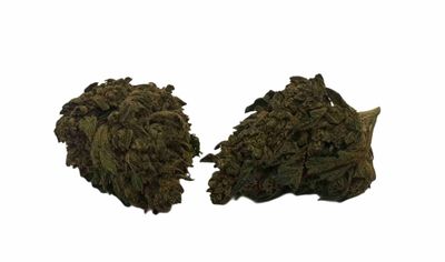 Ghost Cookies 1 Oz (Zen Mountain Growery Denver, CO) 25%