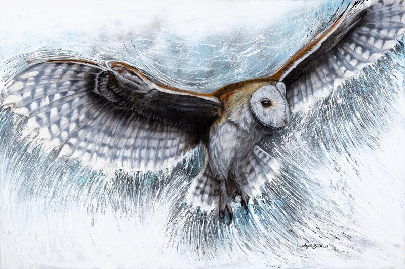 Flying Free