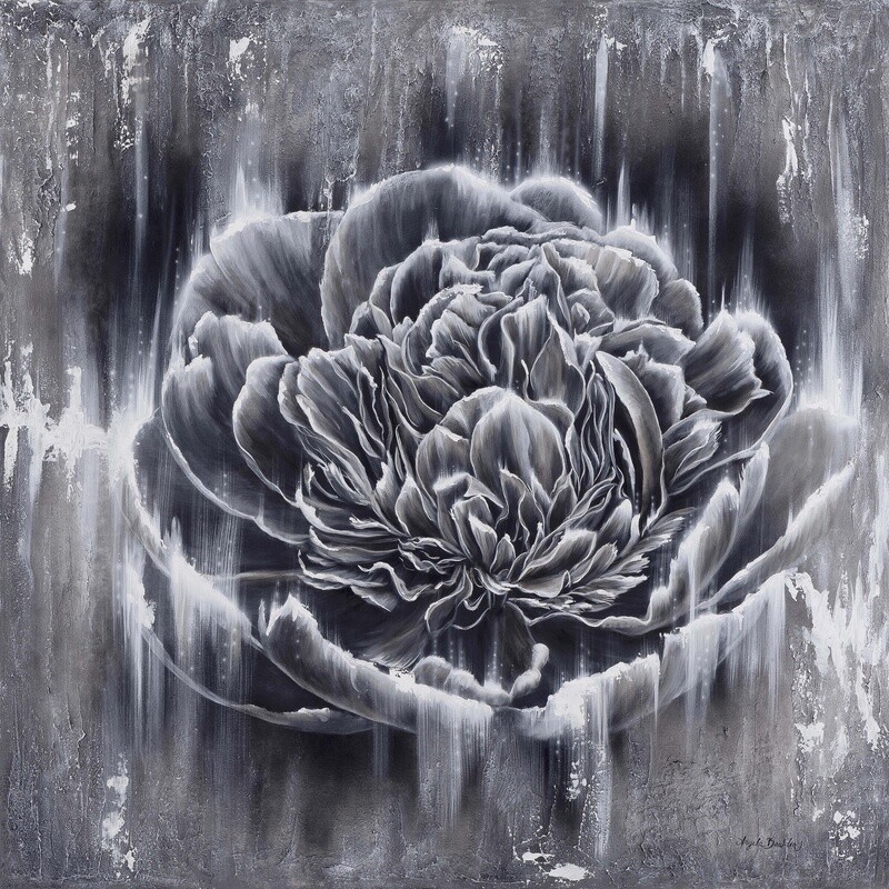 Graceful Grays