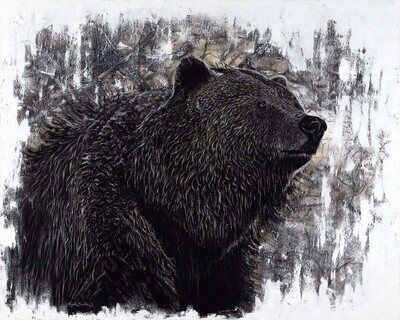 Big Griz