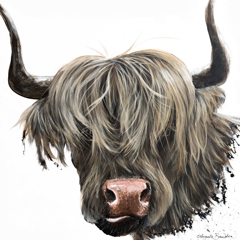 Swanky Coo 12X12&quot; art print