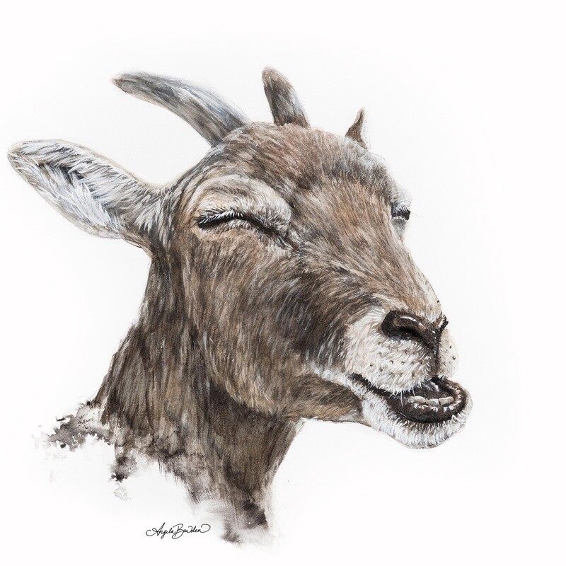 Billy 12X12&quot; Art Print