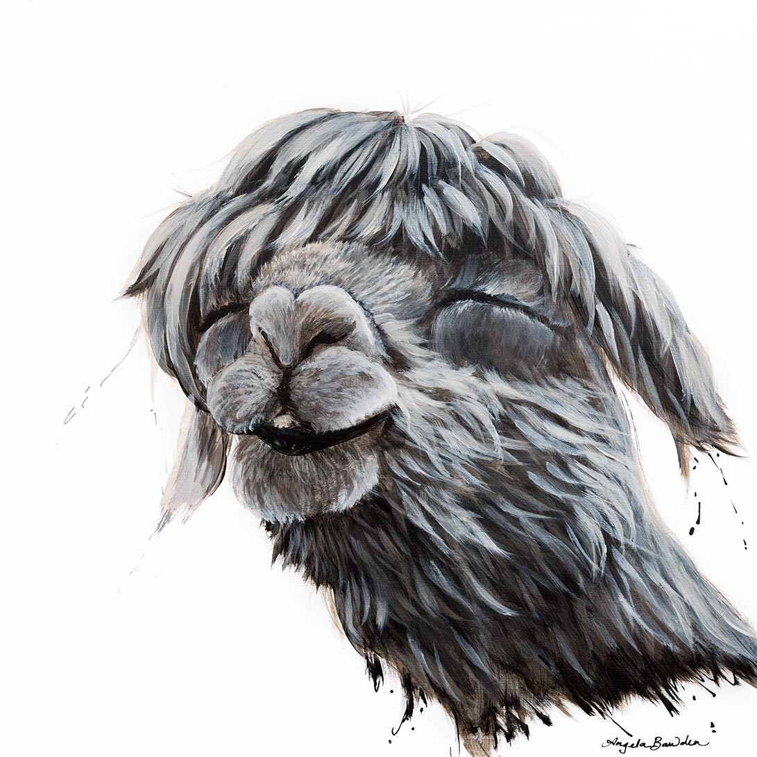 Bootsie 12X12&quot; art print