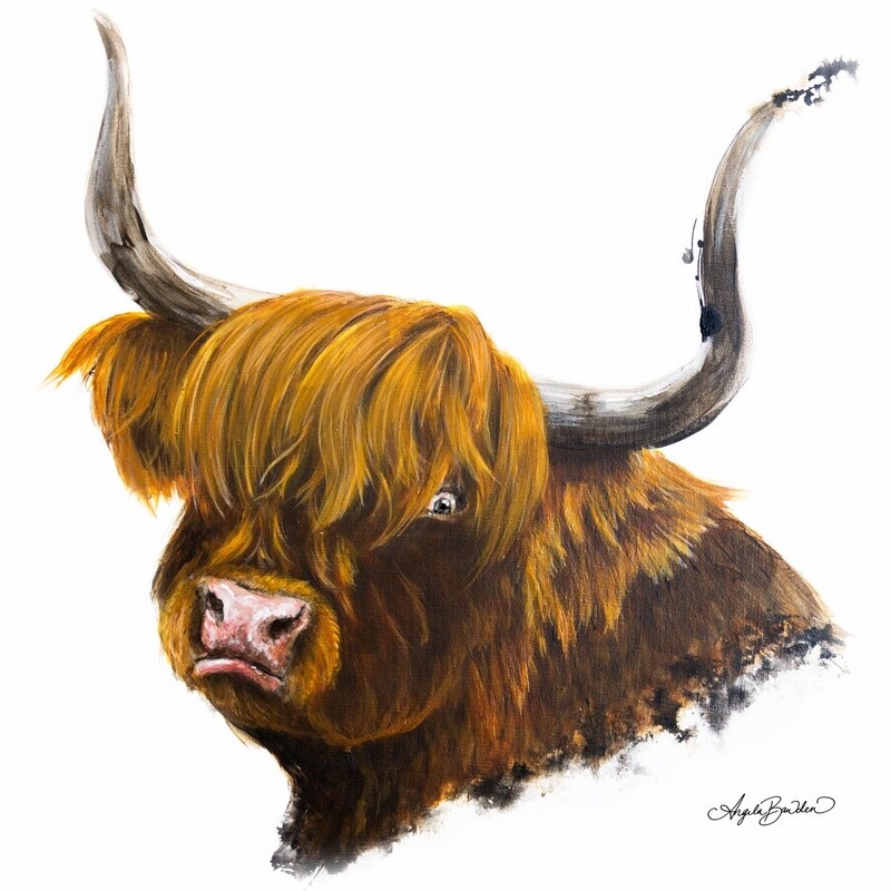 Ginger Coo 12X12&quot; art print