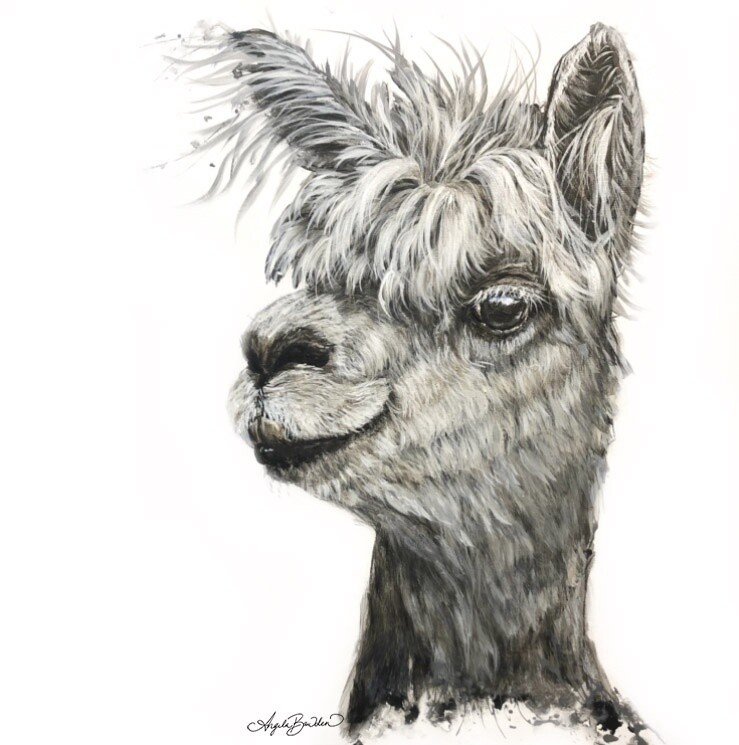Alphie 12X12&quot; Art Print