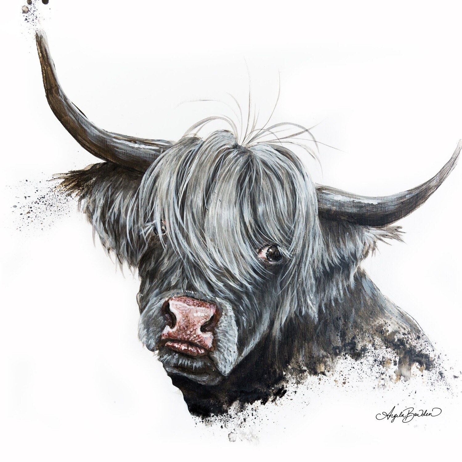 Bashful Highland Cow 12X12&quot; art print
