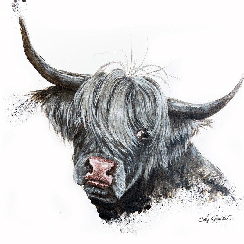 Bashful Highland Cow 12X12&quot; art print