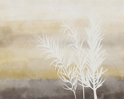 White Botanicals 16X20&quot; art print