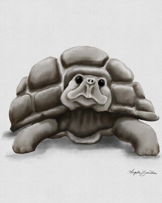 Torty 16X20&quot; art print