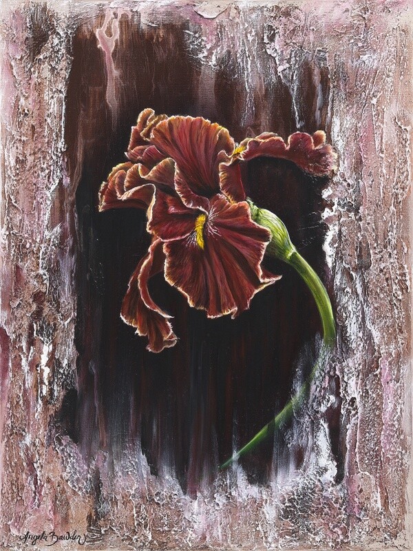Dancing Iris