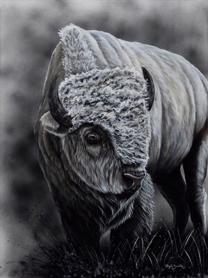Sacred Tatanka 30X40&quot; Giclée