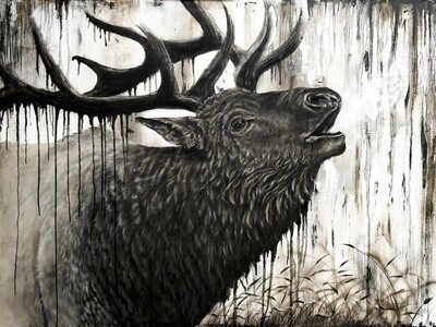 Bugling Bull Elk 30X40&quot; Giclée