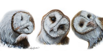 Triple Trouble 20X40" Giclée