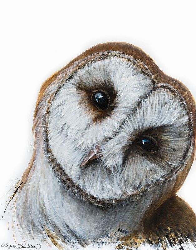 Curious 8X10 print w/11X14 mat
