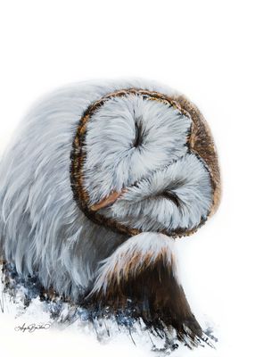 Bashful 8X10 art print 11X14 mat