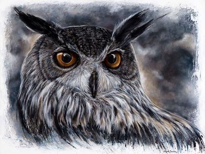 Wise Owl 36X48&quot;