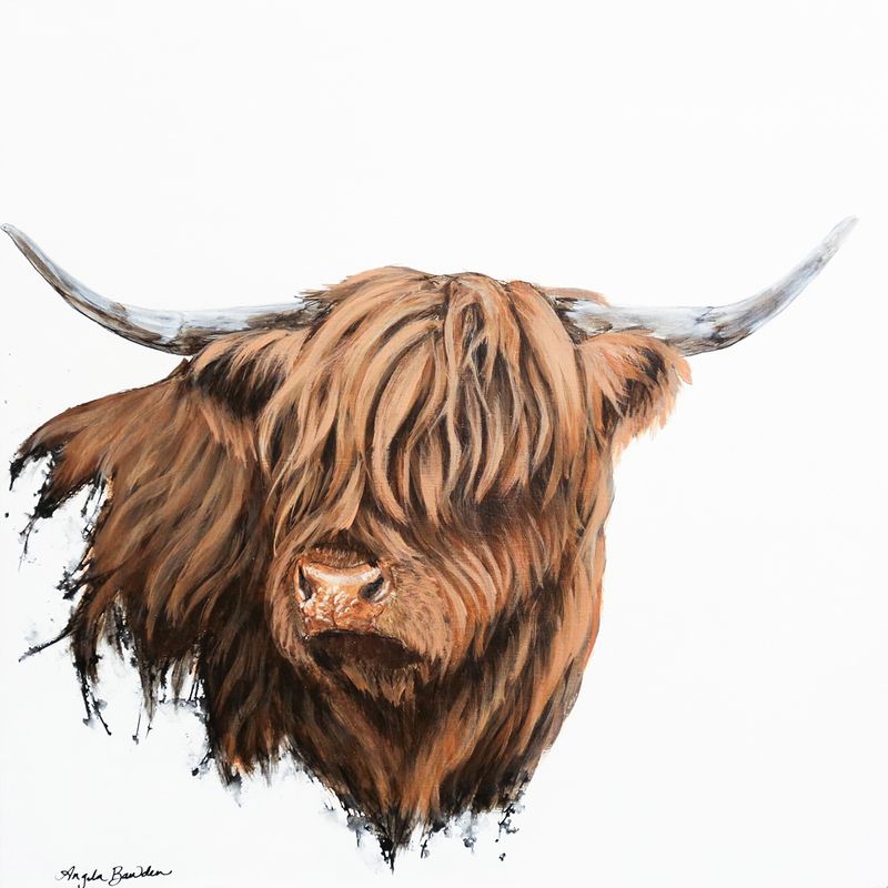 Finlay (highland Cow) Original painting