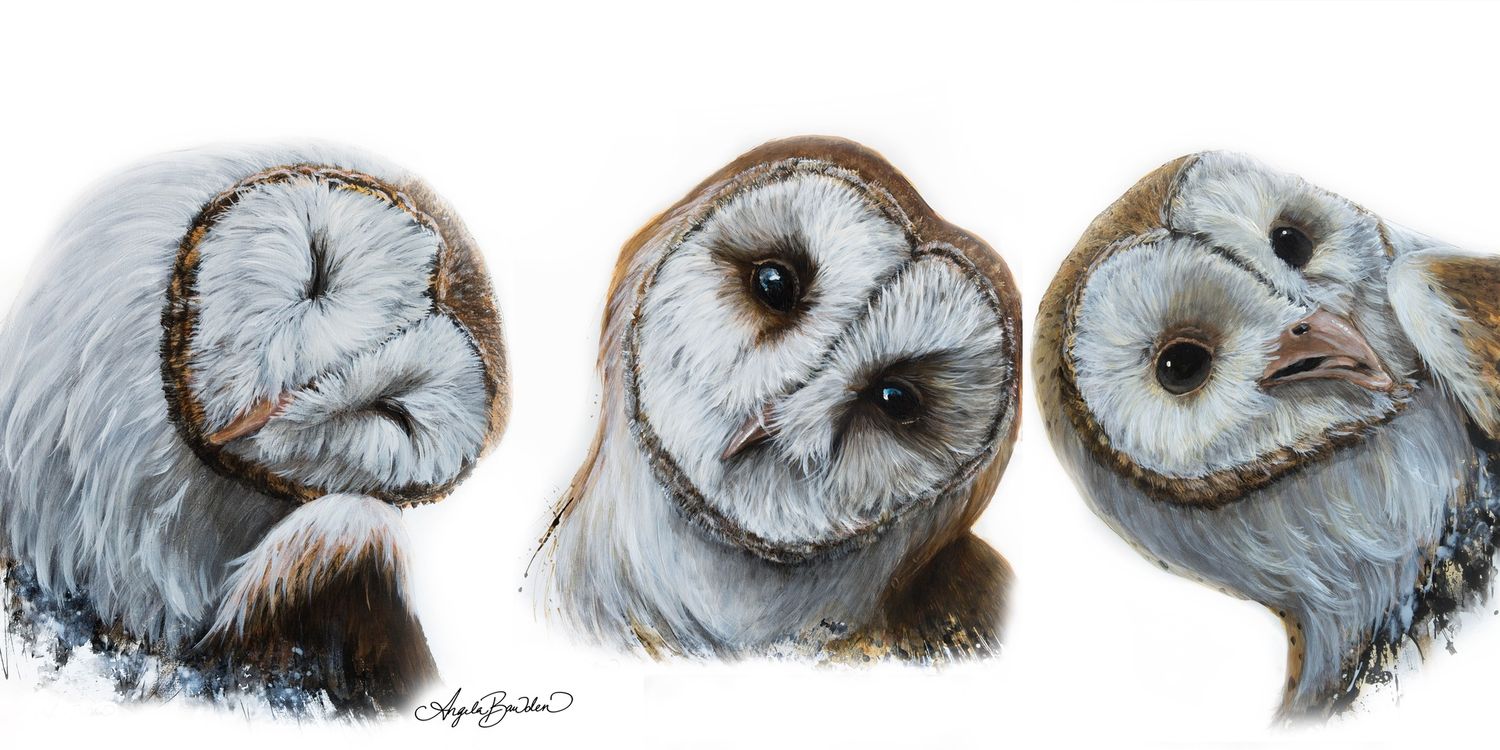 Triple Trouble 18&quot;X36&quot; Giclée