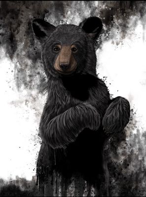Intrigue Of The Wild 36X48&quot; Giclée
