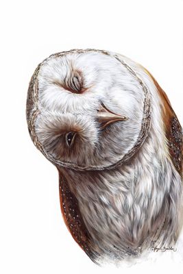 Hooty Pa Tooty 18X24 Giclée