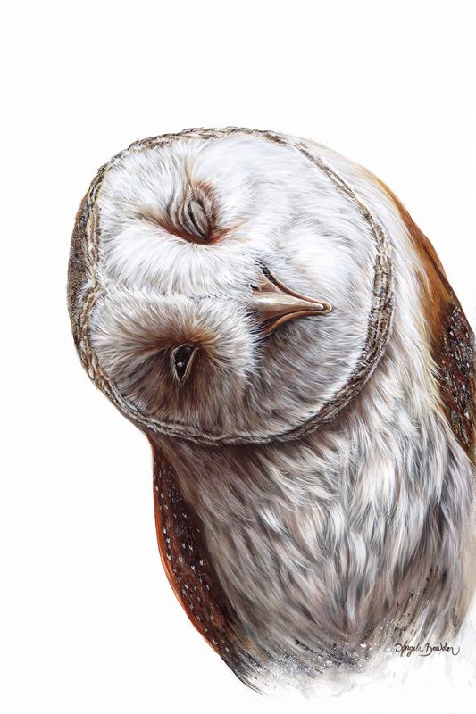 Hooty Pa Tooty 18X24 Giclée