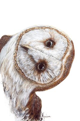 Hoo Are You? 18X24" Giclée