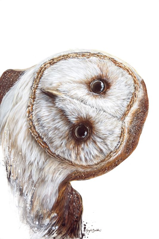 Hoo Are You? 18X24" Giclée